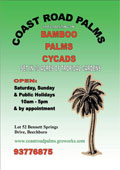 Coast Road Palms